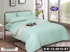 Комплект постельного белья Страйп сатин S-K-12-4610-ST Полуторный