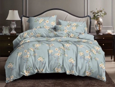 Набор постельного белья №пл556 Двойной