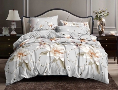 Набор постельного белья №пл561 Двойной