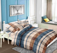 Комплект постельного белья №пл562 Семейный