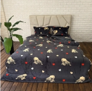 Постельное белье флисовое Евро № ф22, размер 220х240