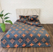 Постельное белье флисовое Евро № ф26, размер 220х240