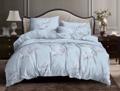 Набор постельного белья №пл553 Двойной