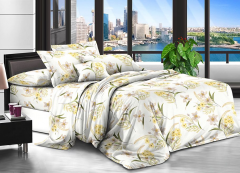 Набор постельного белья №пл595 Двойной