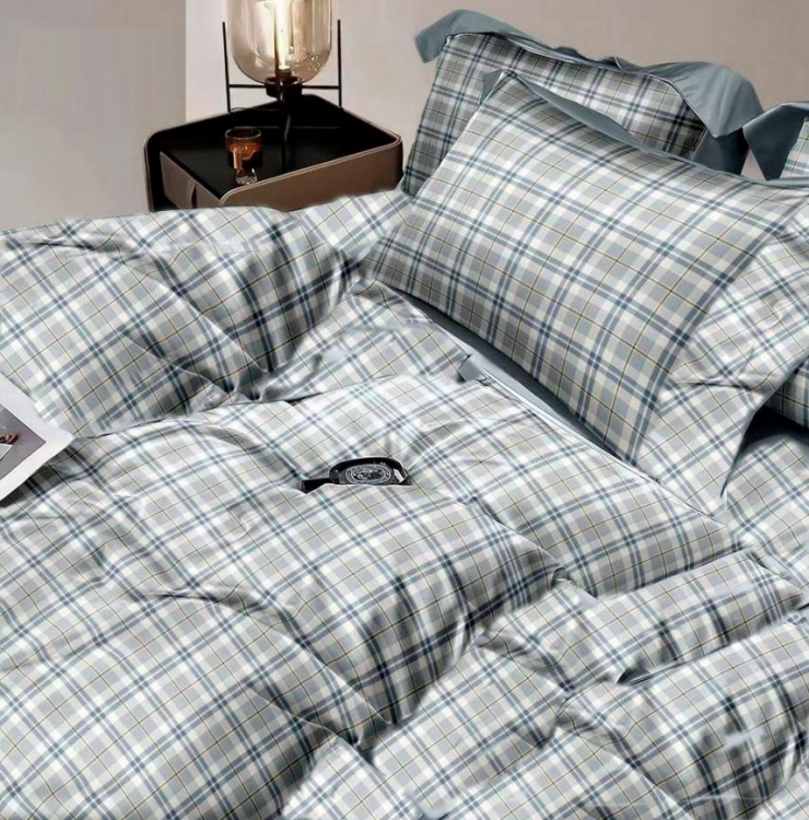 Комплект постельного белья №пл593 Семейный